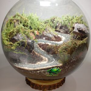 تراریوم زنده طرح گردنه حیران