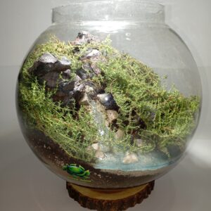 تراریوم زنده طرح صخره و چشمه