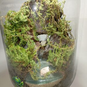 تراریوم زنده غار و چشمه