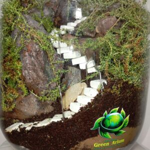 تراریوم زنده پارک جنگلی کوهستان